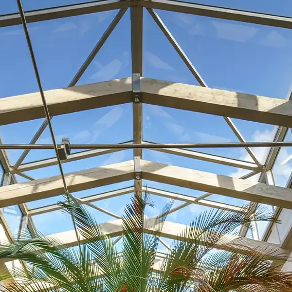 Ein Dachfenster über einer Palme in einer hellen Eingangshalle wird im Rahmen einer professionellen Fensterreinigung in Solingen gepflegt.